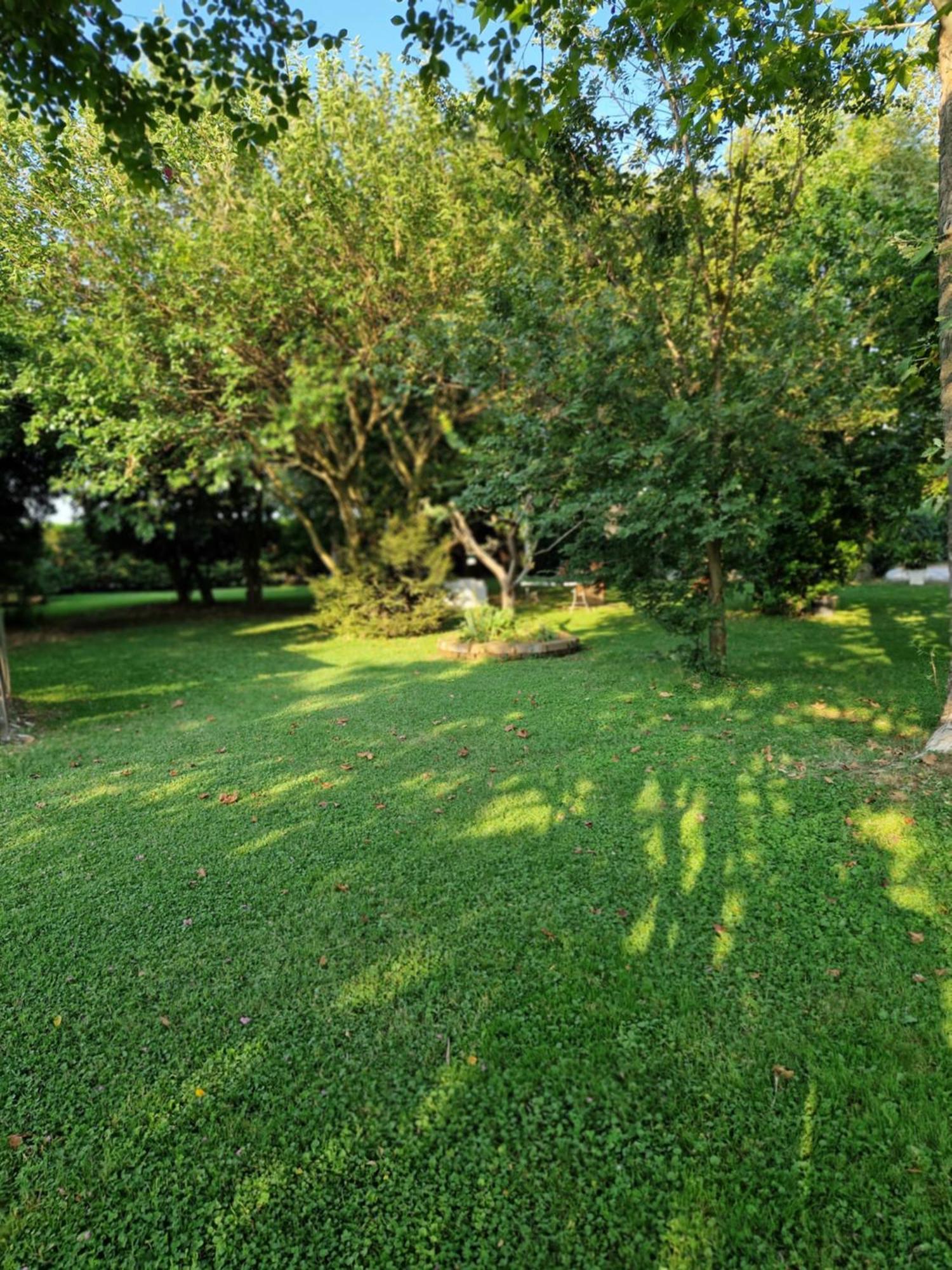 Agriturismo Corte Gaia 卡斯蒂廖内德莱斯蒂维耶雷 外观 照片